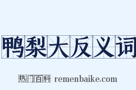 鸭梨大反义词是什么意思的图片